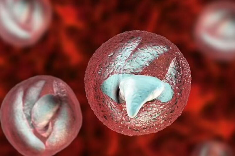 Warning crypto parasite in UK:  கிரிப்ட்டோ கிருமிகள் பிரிட்டன் மண்ணில் பெரும் ஆபத்து NHS