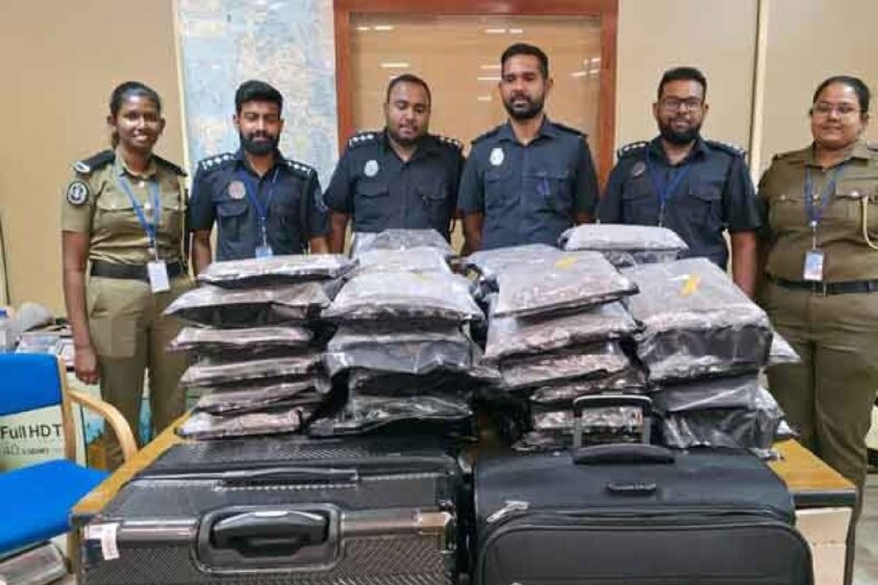 பிரிட்டிஷ் பெண் கஞ்சாவுடன் கைது: இலங்கை விமான நிலையத்தில் கடும் பாதுகாப்பு நடவடிக்கை