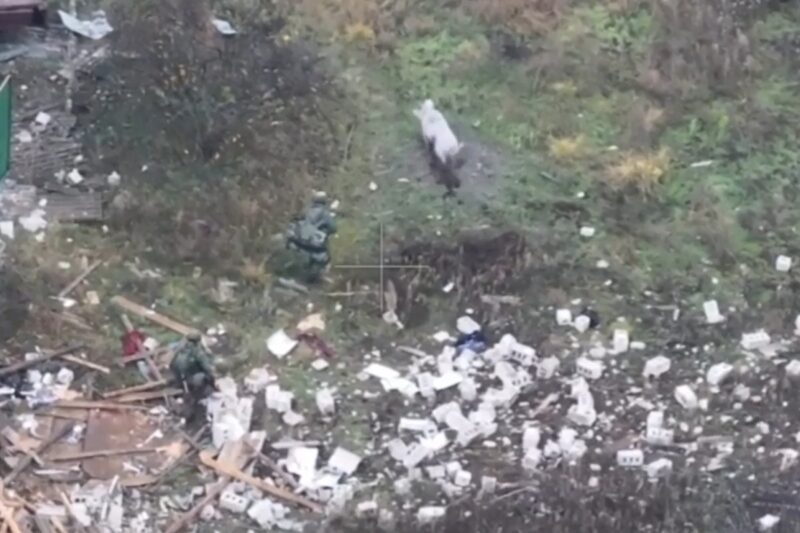 திக் திக்  நிமிடம்: கடைசி நேரத்தில்  ரஷ்ய வீரர்களை காப்பாற்றிய பன்றி! டிரோன் காட்சிகள்! (வீடியோ)