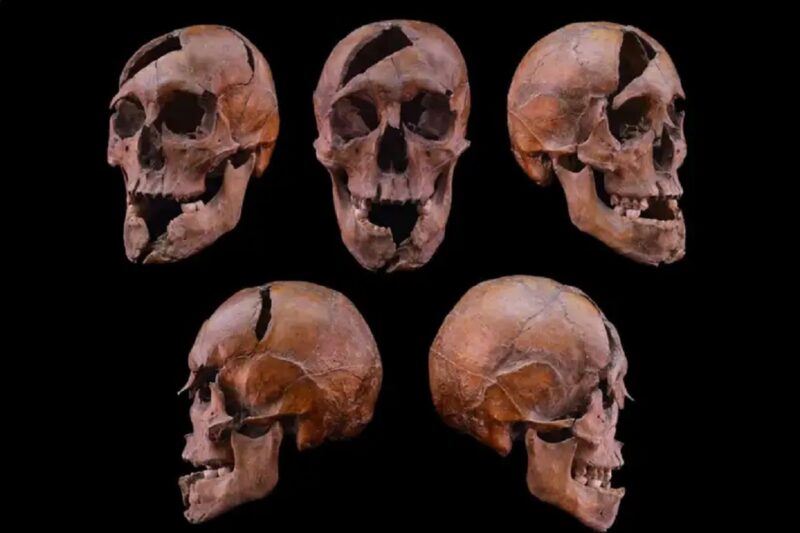 750 வருட அரச ரகசியம்: புடாபெஸ்டில் மீட்கப்பட்ட எலும்புக்கூடு 1272-ல் படுகொலை செய்யப்பட்ட இளவரசருக்குரியது என உறுதி